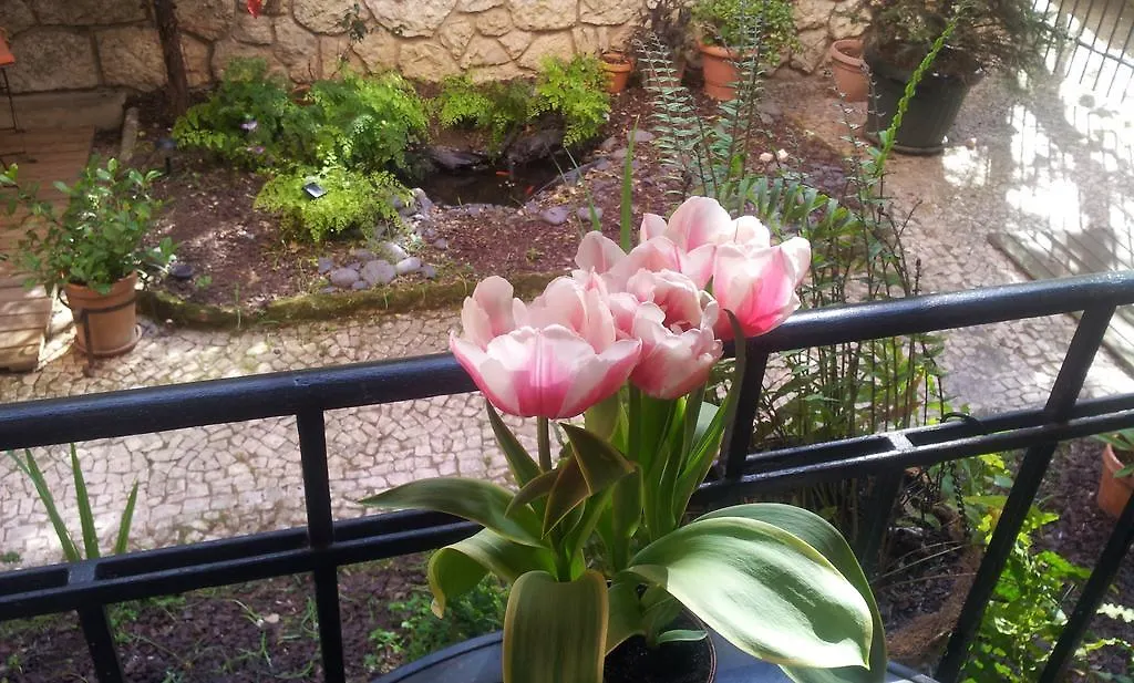 Whatever Art B&B Lisbon Bed & Breakfast